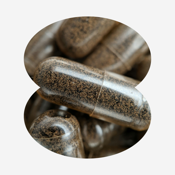 BESTVITE Magtein Magnesium L-Threonate Caps (120 Veg Caps) - No Stearates