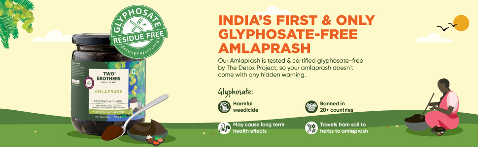 TWO BROTHERS INDIA FARMS Amlaprash (500 g) | Ayurvedic Chyawanprash with Amla| Glyphosate free | Made with Desi Gir Cow Cultured Ghee | Supports Immunity | Contains Antioxidants | Provides Natural Vitamin C