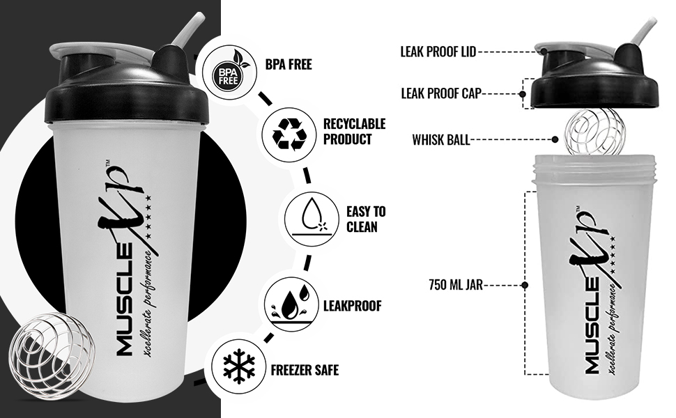 MuscleXP Gym Shaker, Perfect For Gym | BPA-Free, For BCAA, Protein Mixer & Whisk Ball, 600ml