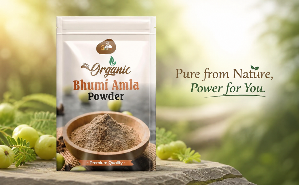 Bhumi Amla Powder 100G | Organic Bhumi Amla Churna for Liver Support, Detox & Digestion | Herbal Supplement | - (Pack Of 01)
