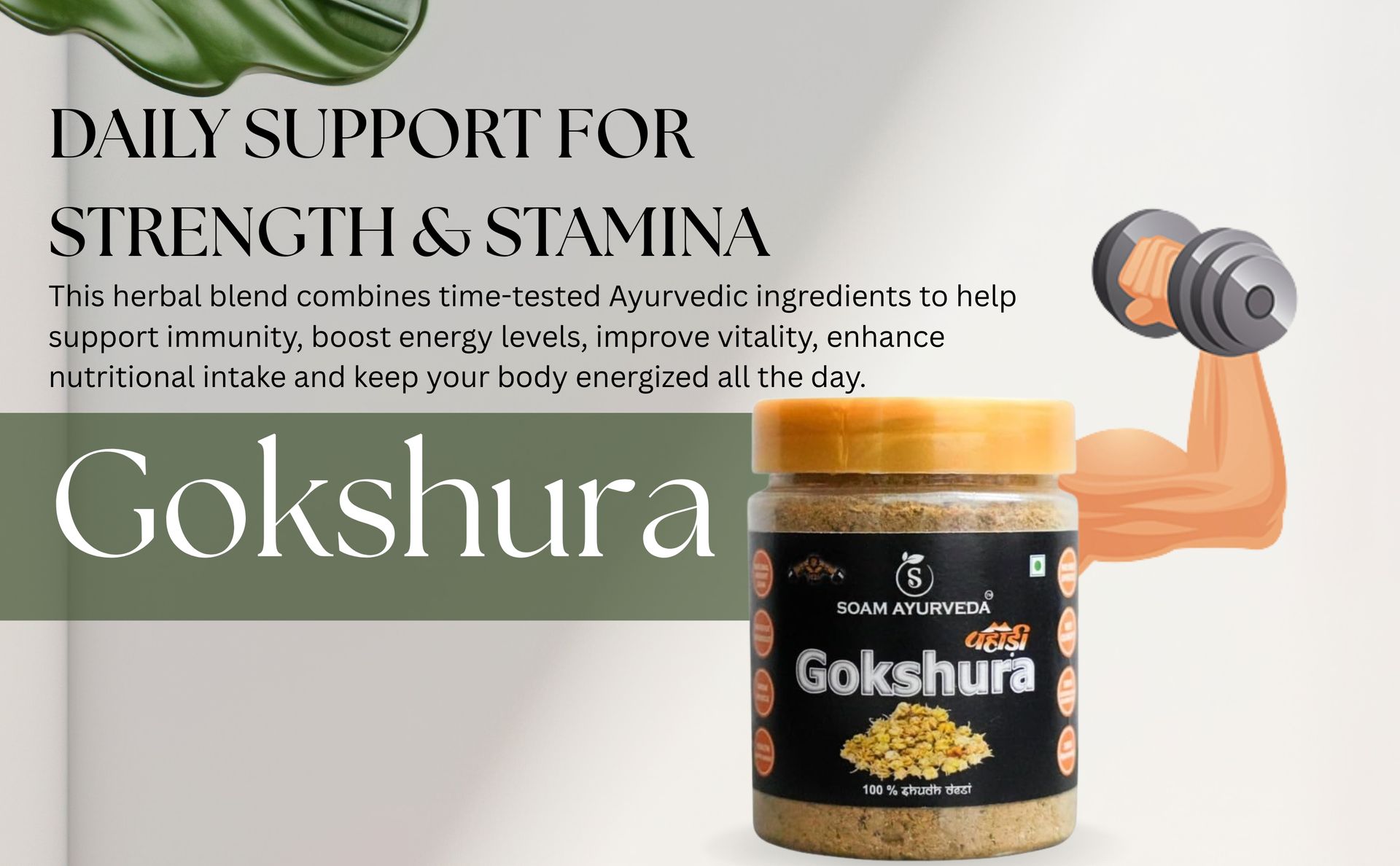 Soam Ayurveda's Pahadi Gokshura -150g | Gokhuru Powder | Improves Energy, Muscle Strength, Stamina & Supports Recovery (Pack of 1)