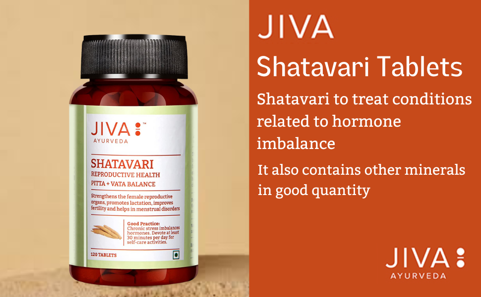 Jiva Shatavari Tablets 500gm | 100% Pure & Natural | Helps to Booss Immunity | Goodness of Shatavari, Babool, Maize & Starch | For Men & Women - 120 Tablets (Pack of 2)