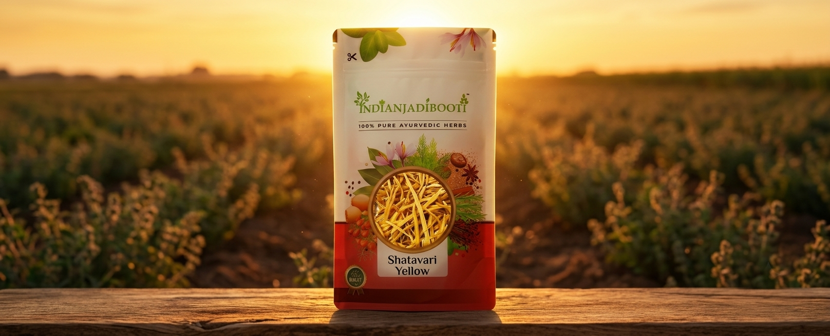 IndianJadiBooti Shatavari Yellow (Asparagus racemosus) | Natural Satavar Herb For Hormonal Balance & Reproductive Health | 100 Grams