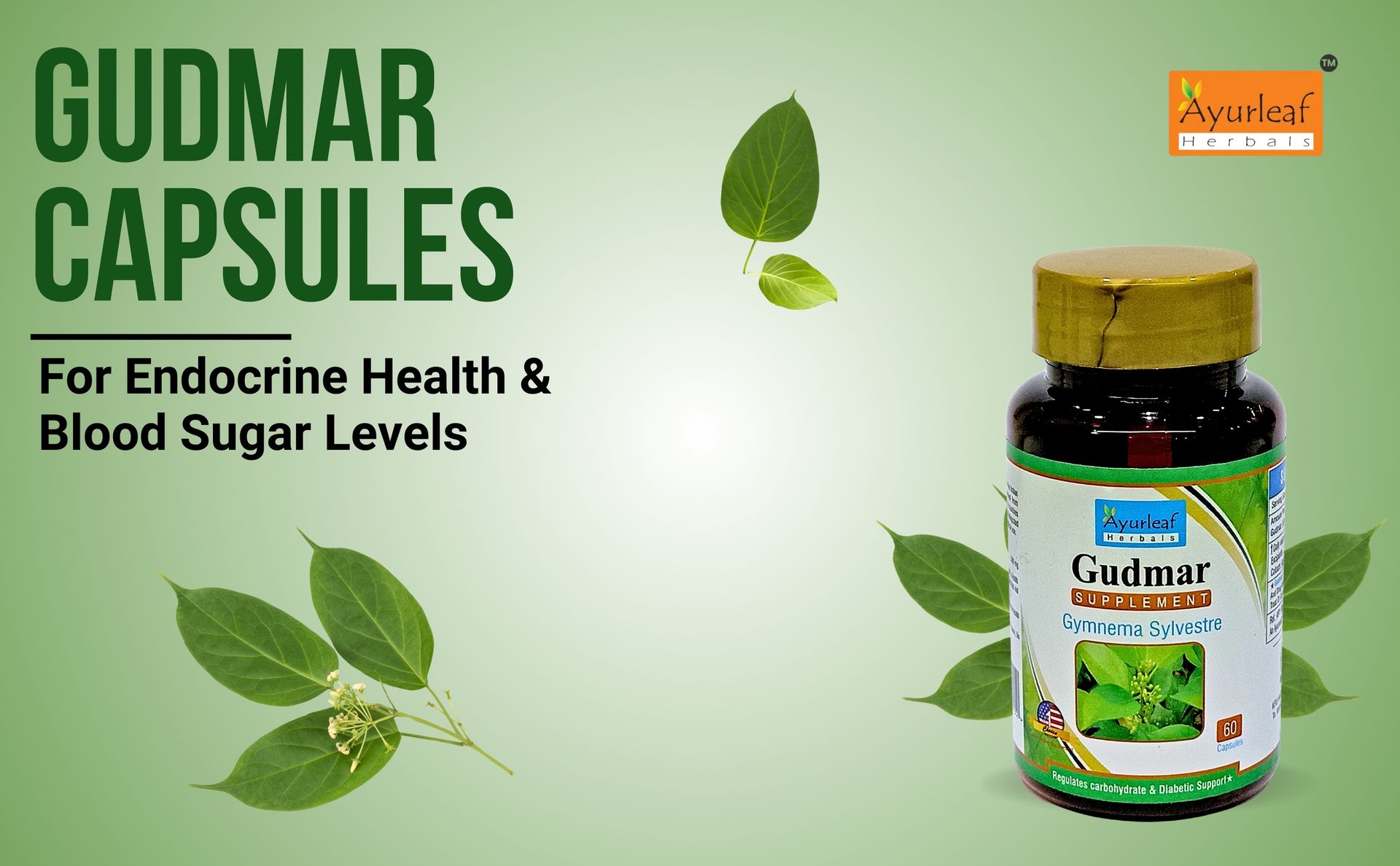 Ayurleaf Herbals Gudmar Capsules | For Endocrine Health & Blood Sugar Levels | 100% Natural, Ayurveda Herb, Dietary, Nutrition Supplements (Pack of 2, 120 Capsules)