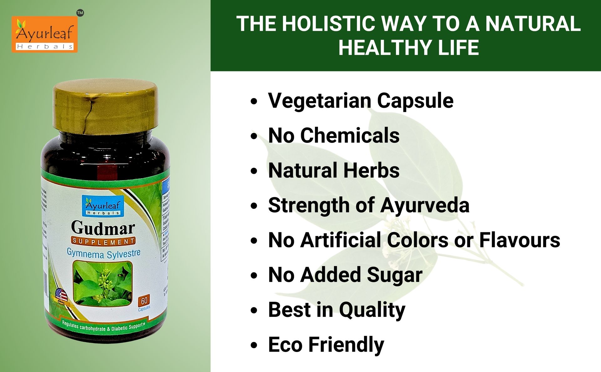 Ayurleaf Herbals Gudmar Capsules | For Endocrine Health & Blood Sugar Levels | 100% Natural, Ayurveda Herb, Dietary, Nutrition Supplements (Pack of 2, 120 Capsules)