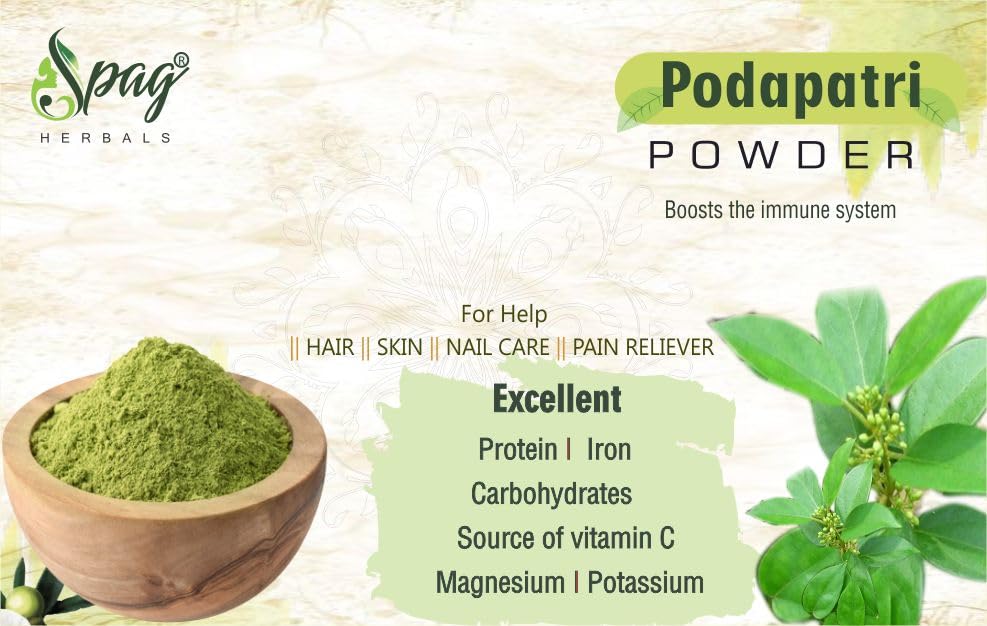 Podapatri madhunashini Sirukurinjan gurmar gymnema sylvestre gudmar gymnema sylvestre 300grms Pack of 1 For diabetes blood suger management powder