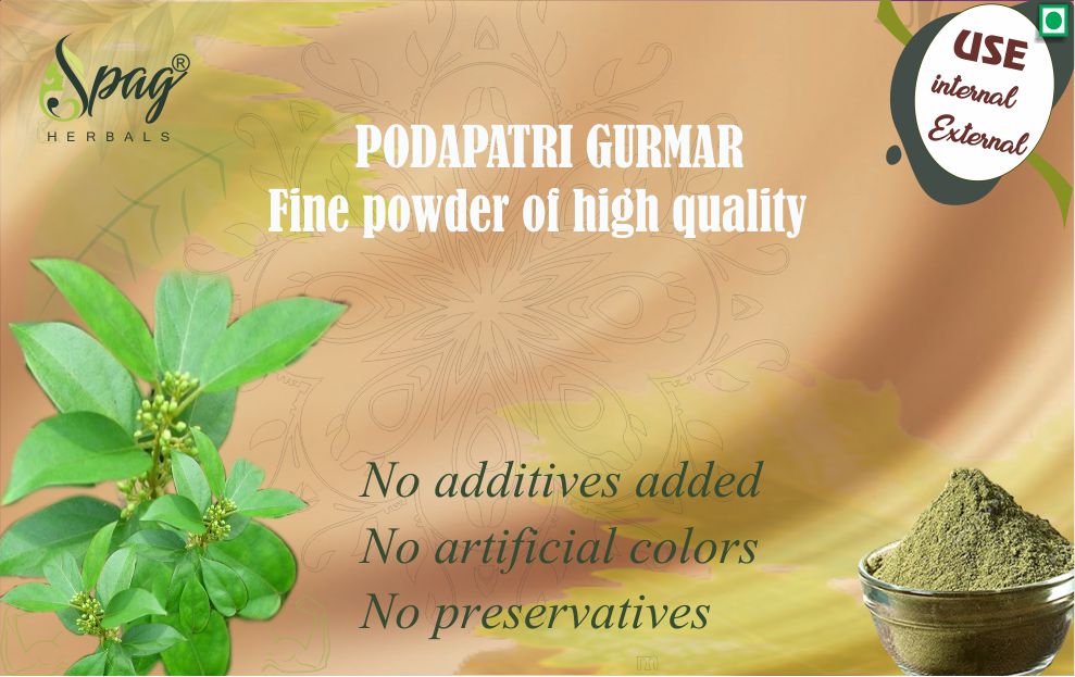 Podapatri madhunashini Sirukurinjan gurmar gymnema sylvestre gudmar gymnema sylvestre 300grms Pack of 1 For diabetes blood suger management powder