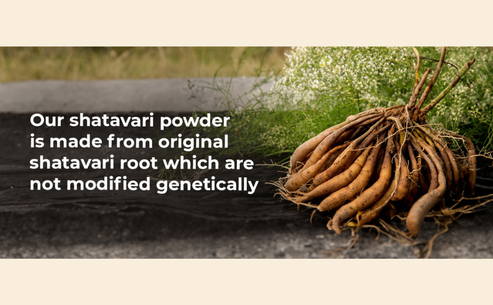 Herbal Hills Shatavari Powder 200 gm Pack Of 1