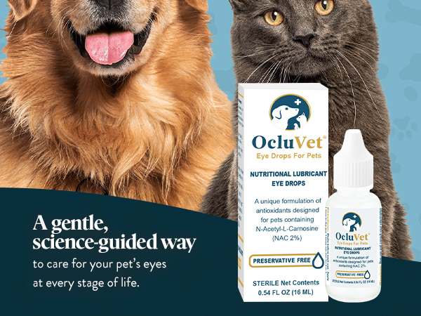 OcluVet Pet Eye Drops for Dogs & Cats, 2% NAC, 16 mL
