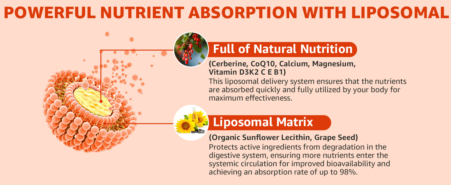 Berberine Gummies 1000mg for Women & Men, Liposomal + HCl, Sugar Free,2Pack
