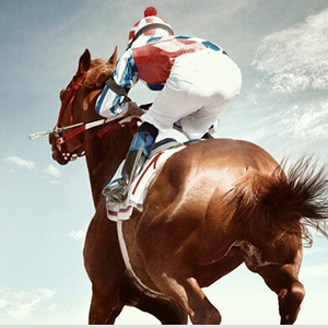 Ramard Total Tendon Repair –Advanced Powder Supplement with Vitamin C, Collagen, and MSM for Horse Joint, Ligament, and Tendon Support - Supplements for Elasticity and Strength – 30 Day Supply