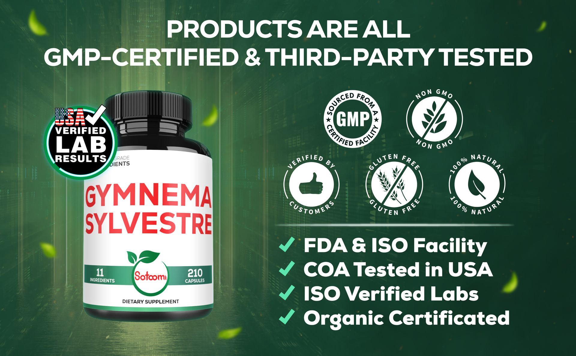 Satoomi 1000mg Gymnema Sylvestre Supplements - 210 Capsules - Gymnema Extract 20:1 with Berberine HCl, Quercetin & More - Support for Immune, Digestive Health & Body Management