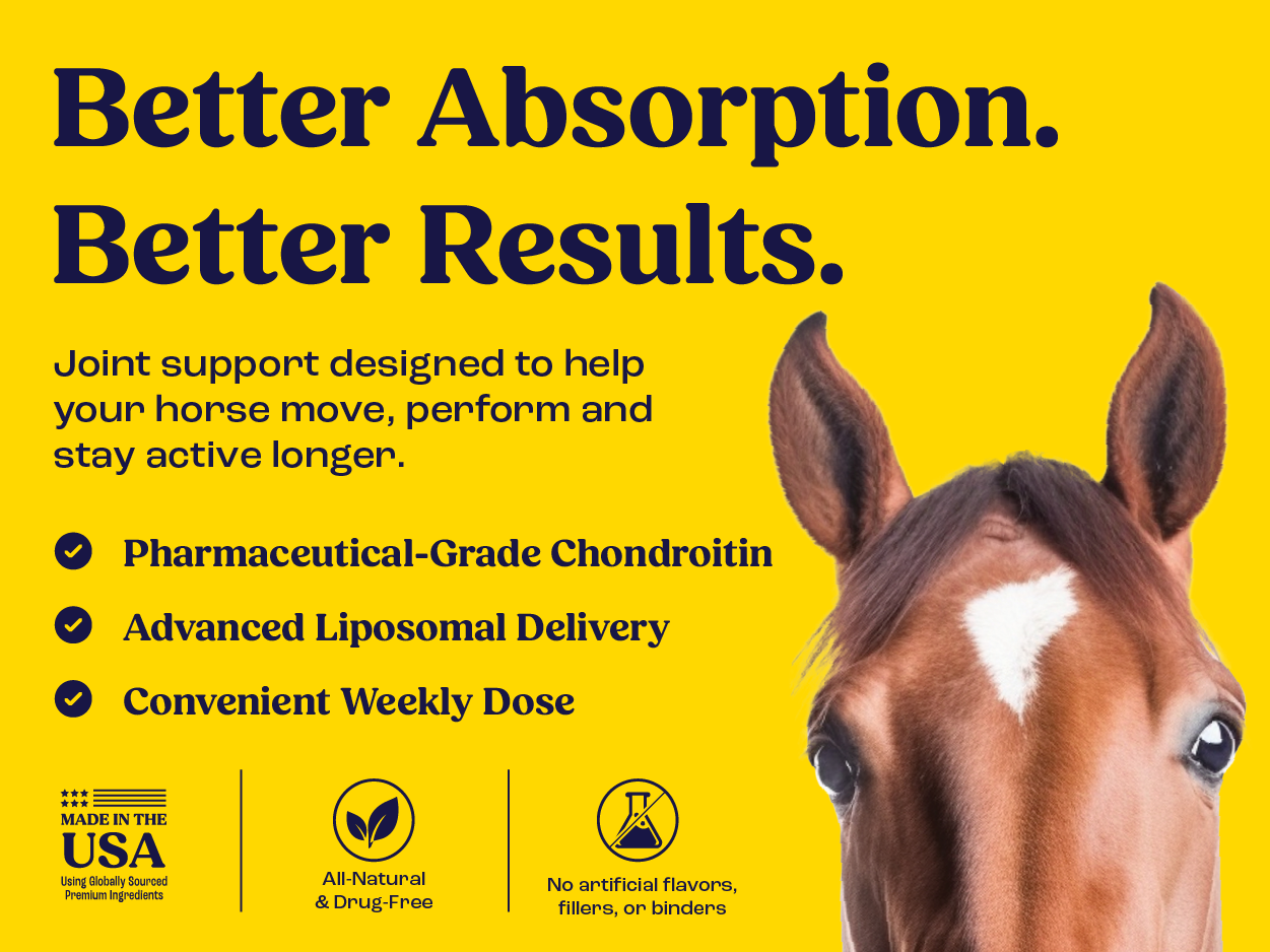 Summit Equine Joint & Mobility Bites Daily Supplement for Horses, Liposomal Delivery, Max Absorption, Vet Recommended, All-Natural Ingredients, 100% Drug-Free, Healthy Joints - 30 Bites
