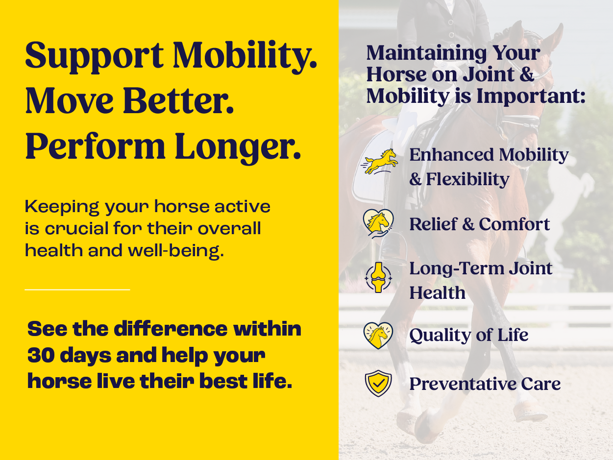 Summit Equine Joint & Mobility Bites Daily Supplement for Horses, Liposomal Delivery, Max Absorption, Vet Recommended, All-Natural Ingredients, 100% Drug-Free, Healthy Joints - 30 Bites