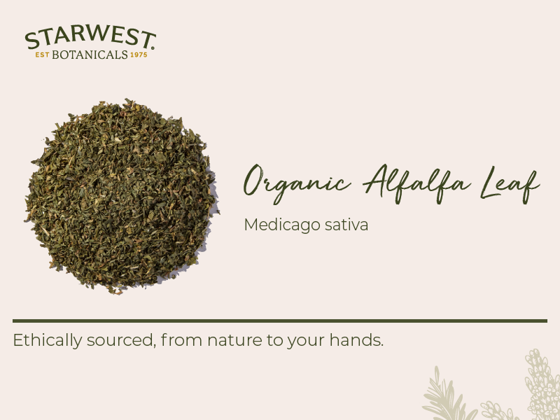 Starwest Botanicals Organic Alfalfa Leaf, Use in Tea - Bulk 1 lb Bag