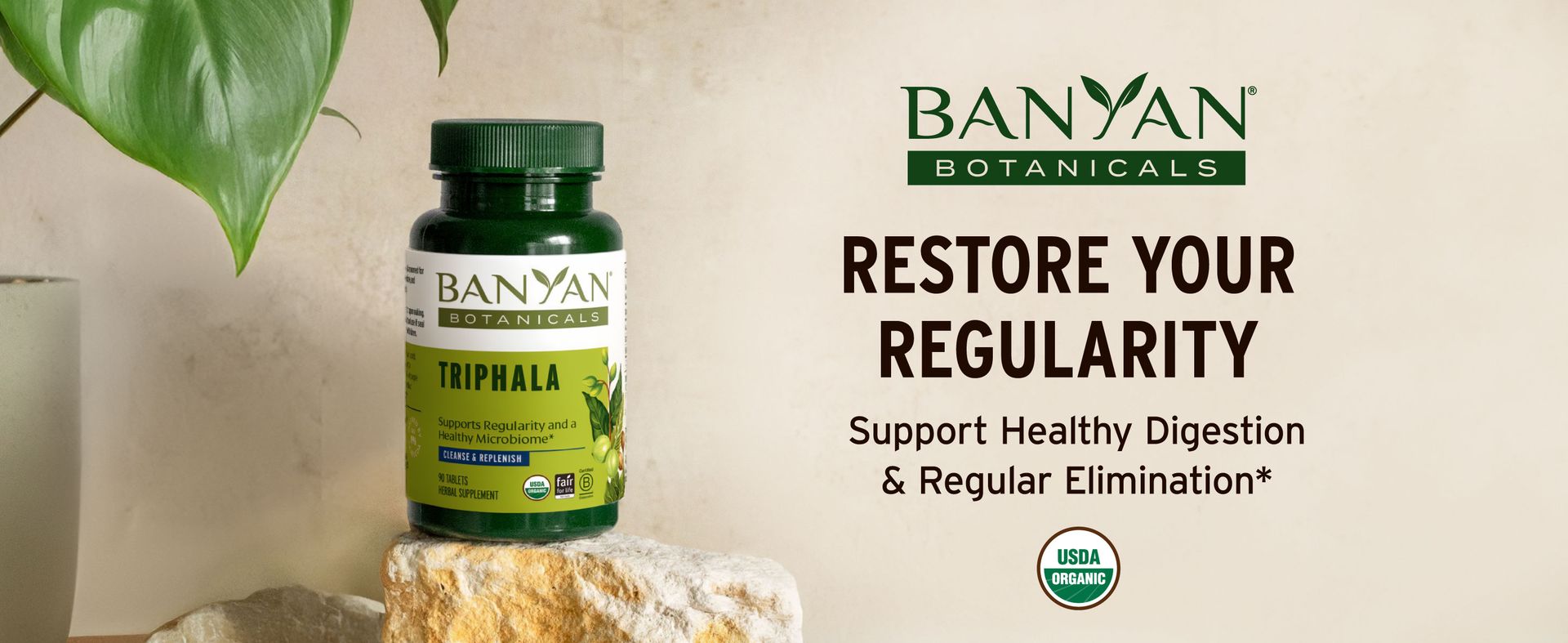 Banyan Botanicals Organic Triphala Tablets - Gentle Daily Digestion & Colon Cleanse Support - Amla, Haritaki, Bibhitaki - Healthy Elimination, Detox & Gut Microbiome - 90 Tablets - Non-GMO, Vegan*