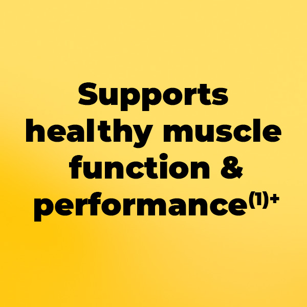 Nature Made Micronized Creatine Monohydrate Powder 5g per Serving, 450 g