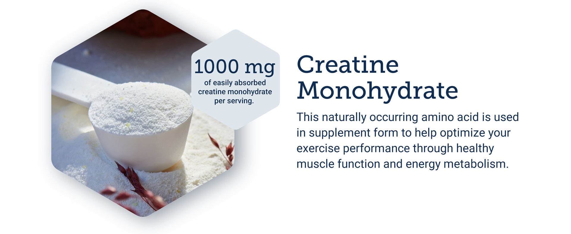 Life Extension Creatine Capsules, Creatine Monohydrate, 120 Capsules