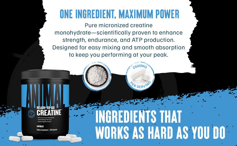 Animal Creatine Monoydrate Powder Capsules for Men & Women | 300 Count