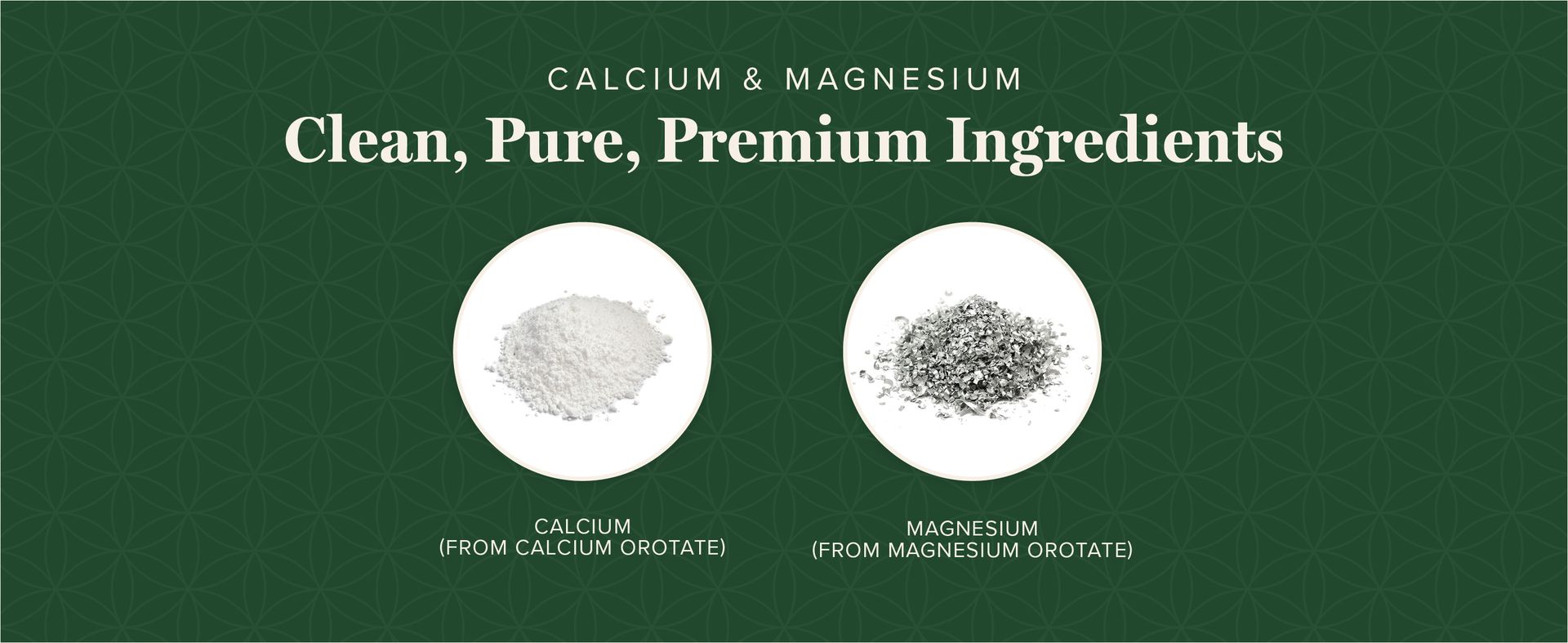Global Healing Calcium and Magnesium Orotate - Bone Strength Supplement for Women and Men - Helps Support Strong Teeth and Cardiovascular Health for Normal Muscle Function - 120 Capsules