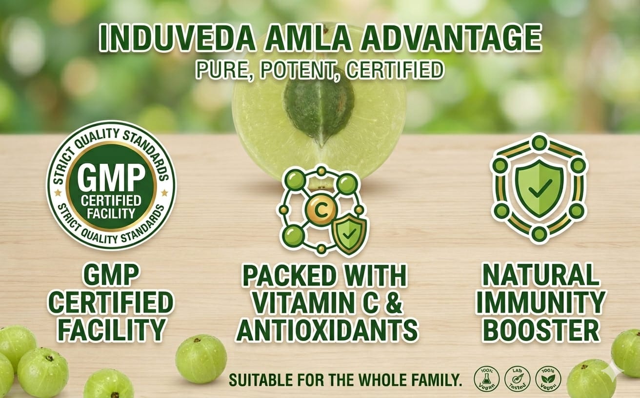 100% Natural Amla Powder for Hair Growth & Skin Care, 200g Edible