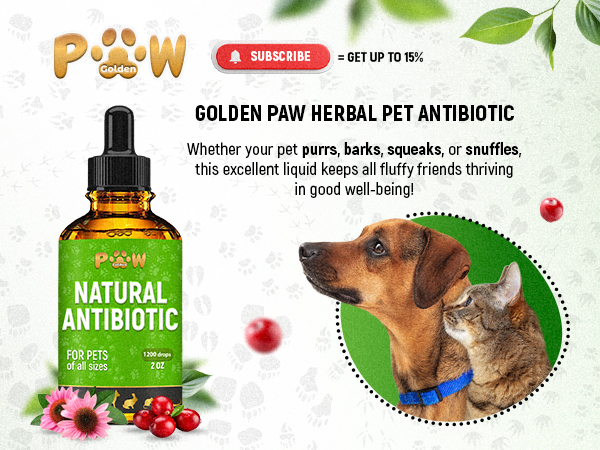 Dog Antibiotics for Infections, Kennel Cough, Wounds, UTIs, Allergies, Itching – Natural Antibiotics for Cats to Support Skin, Coat, & Digestion – Liquid Form for Oral Use – All Pet Ages – 2 oz