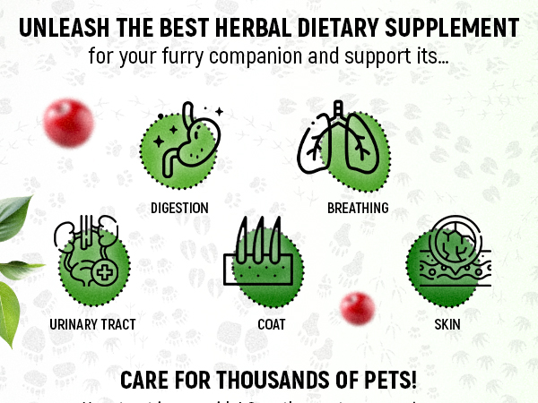 Dog Antibiotics for Infections, Kennel Cough, Wounds, UTIs, Allergies, Itching – Natural Antibiotics for Cats to Support Skin, Coat, & Digestion – Liquid Form for Oral Use – All Pet Ages – 2 oz