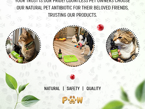 Dog Antibiotics for Infections, Kennel Cough, Wounds, UTIs, Allergies, Itching – Natural Antibiotics for Cats to Support Skin, Coat, & Digestion – Liquid Form for Oral Use – All Pet Ages – 2 oz