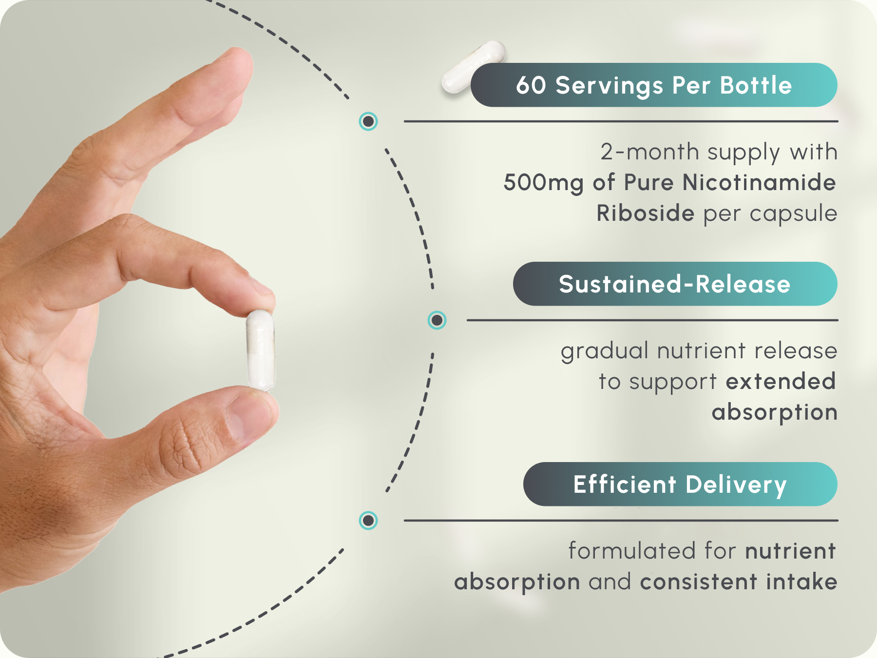 partiQlar NR Supplement Nicotinamide Riboside NAD+ Booster - 60 Capsules