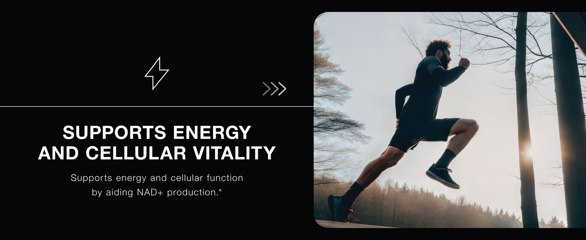 Toniiq NMNH Supplement - Ultra High Potency 1,000mg Complex