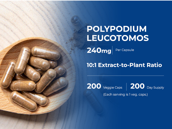 NusaPure Polypodium, Vegan, 240mg, 200 Veggie Capsules - 200 Servings
