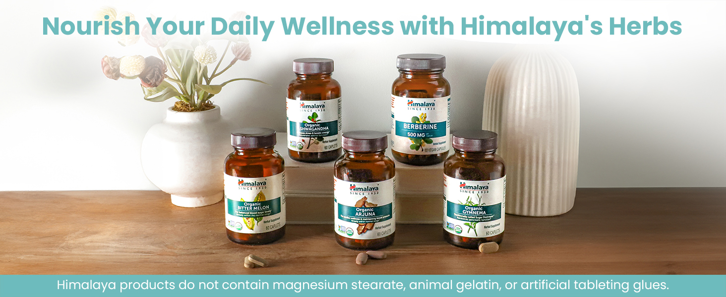 Himalaya Magnesium Glycinate, High Absorption, 200 mg, 60 Vegan Capsules,