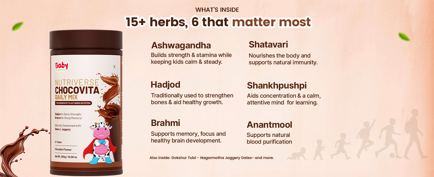 BabyOrgano Chocolate Milk Mix for Kids 2+ Years | With Ashwagandha, Brahmi & 15+ Ayurvedic Herbs | Protein & Calcium | No Refined Sugar, No Maida | Supports Memory, Bone Strength & Immunity | Preservative-Free (Pack of 1)