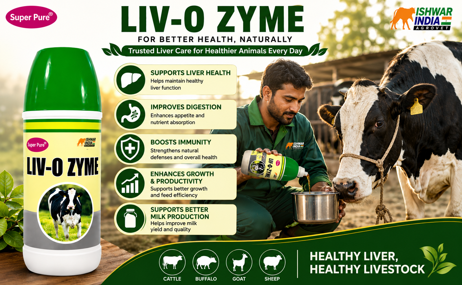 LIV-O Zyme | Liver Tonic & Digestive Supplement for Cows, Buffaloes, Goats & Sheep | Boosts Digestion & Immunity (1LTR)