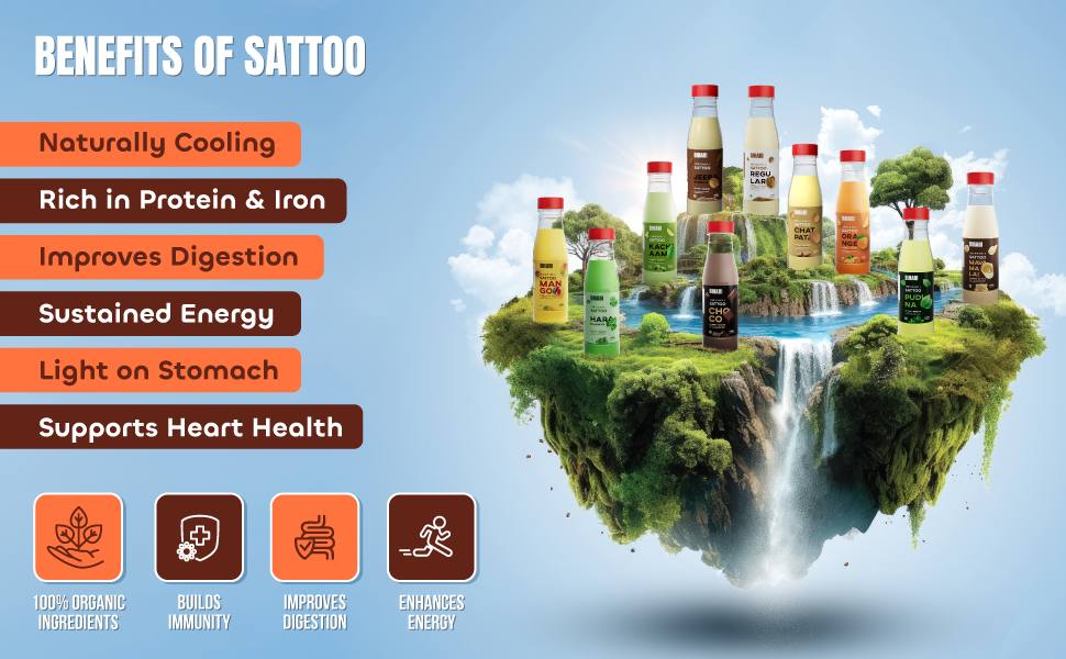 BIHARI SATTU | Chatpata Sattu Drink Pack of 24 Bottles | Flavour sattoo | Roasted Gram Beverage | High Protein & Fiber | Gluten Free | 100% Natural
