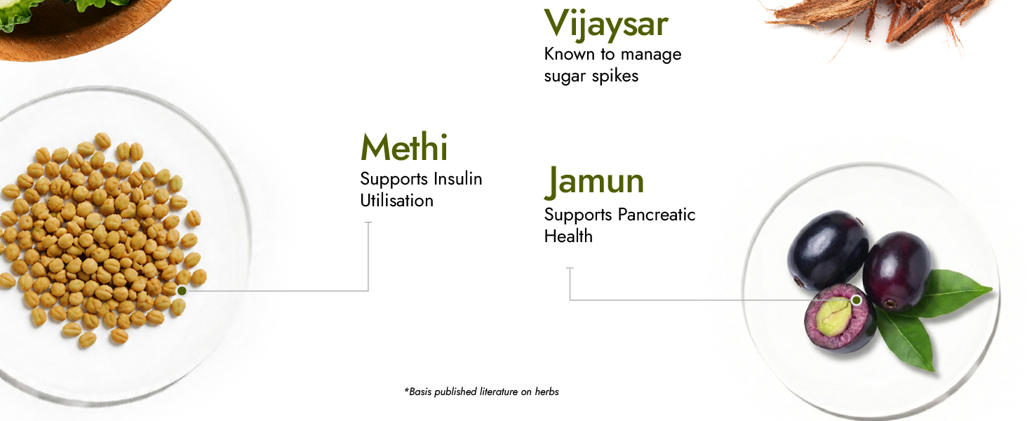 Kapiva Dia Free Juice, 1L | Clinically Proven Diabetic care | Amla, Karela, Jamun, Guduchi & 7 More (Pack of 2)