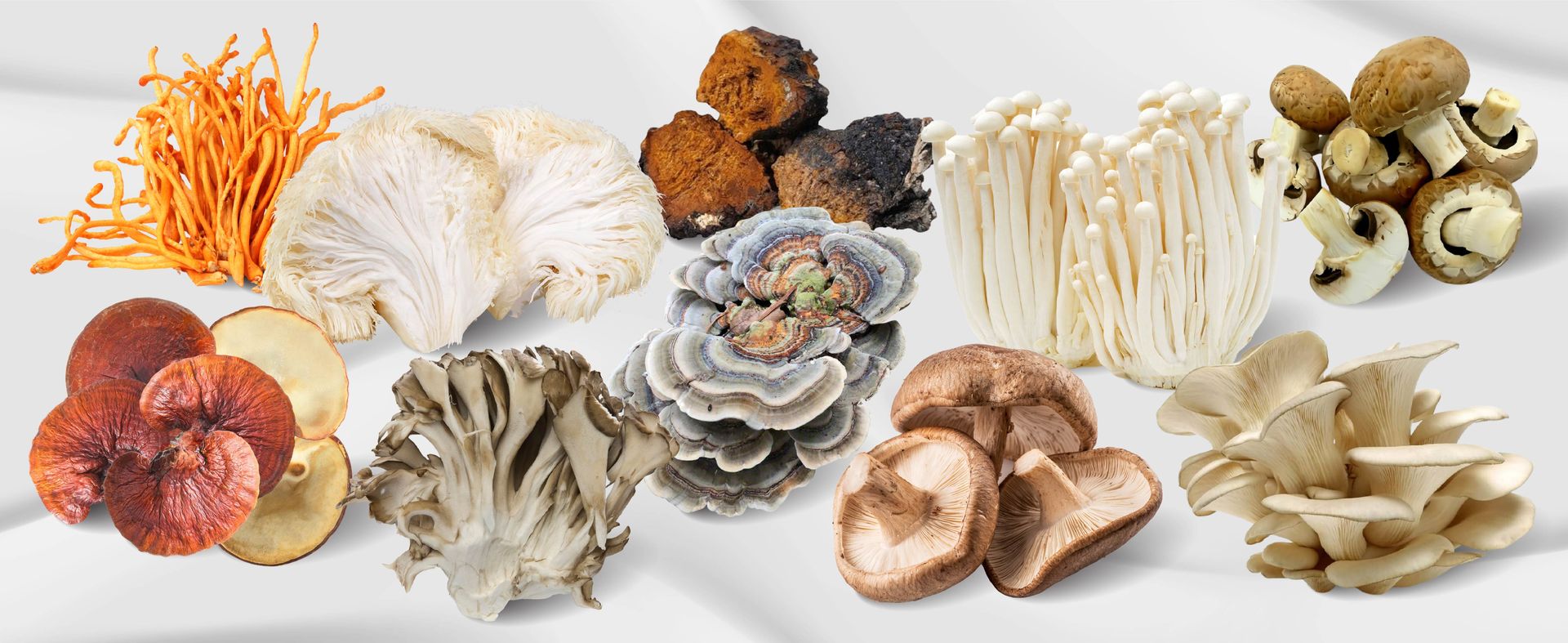 Vegatot Premium Mushroom Complex 10-in-1 with Lion's Mane, 150 Capsules