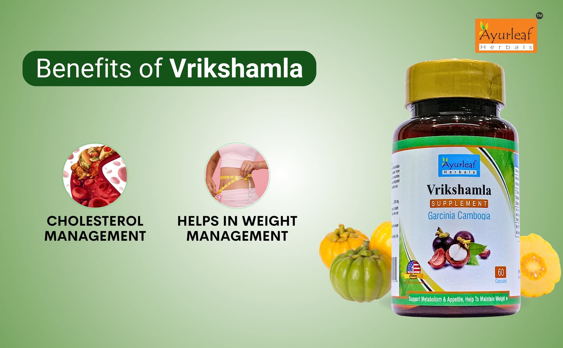 Ayurleaf Herbals Vrikshamla Capsules | Helpful to Manage Weight and Reduce Cholesterol | Improve Digestive Health and Appetite Suppression |100% Natural Herb (60 Capsules)