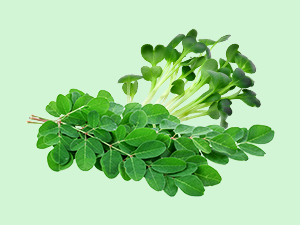 B12GreenFood Powder Plant Based Vitamin B12 Supplement 200g