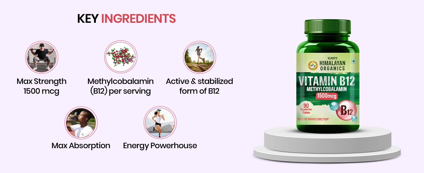 Vlado's Himalayan Organics Vitamin B12 Supplements - Methylcobalamin 500 MCG I B12 Active form of Methylcobalamin I 100% RDA I For Memory, Brain, Heart & Nervous System Support I Maximum Absorption, Normal Energy Production & Immune system support I Tablets for Men & Women - 90 Veg Tablets