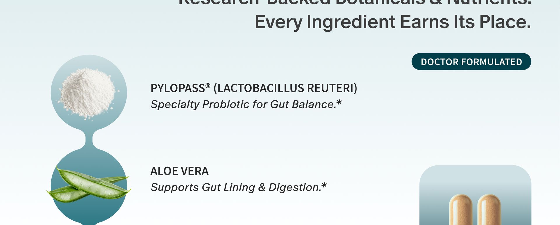 Snap Supplements Gut Health Supplement & Organic Spirulina Chlorella Bundle