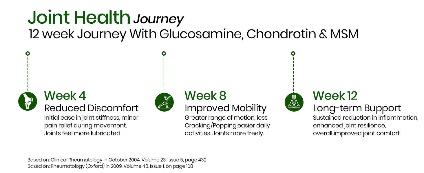 Vlado’s Himalayan Organics Glucosamine Chondroitin MSM Tablets | Cartilage & Joint Support Supplement | Glucosamine for Joint Relieves Pain and Stiffness I Pure Veg Formula- 120 Vegetarian Tablet