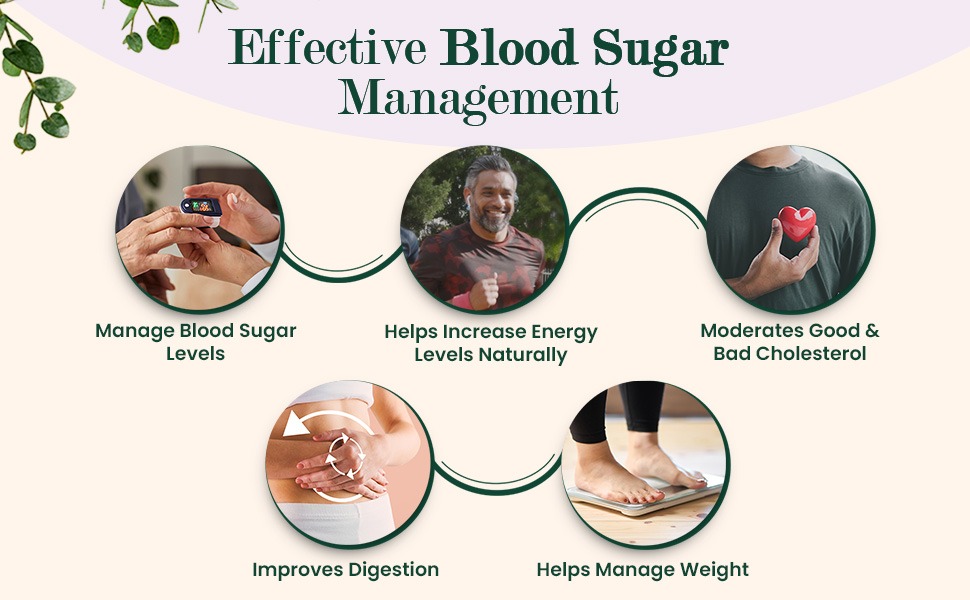 Vansaar 45+ Diab Balance Juice, 1L | Ayurvedic Diabetic Care Juice for 45+ Adults | Karela, Jamun, Neem, Paneer Doda, Cinnamon, & 9 more natural herbs | Manages Blood Sugar & Insulin Level