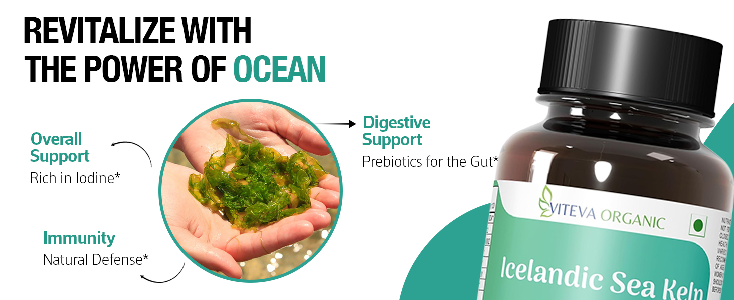 Sea Kelp Capsules 600mg 120 Veg Capsules - Icelandic Laminaria Digitata Thyroid Supplement - Natural Antioxidant for Metabolism & Hormone Balance- Sea Kelp Supplement for Iodine Support