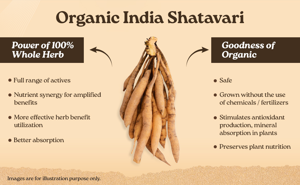 A TATA Product -Organic India Shatavari Capsules, 60 Capsules, Supports Women’s Health, Whole Herb*, Certified Organic, No Added Fillers or Chemicals