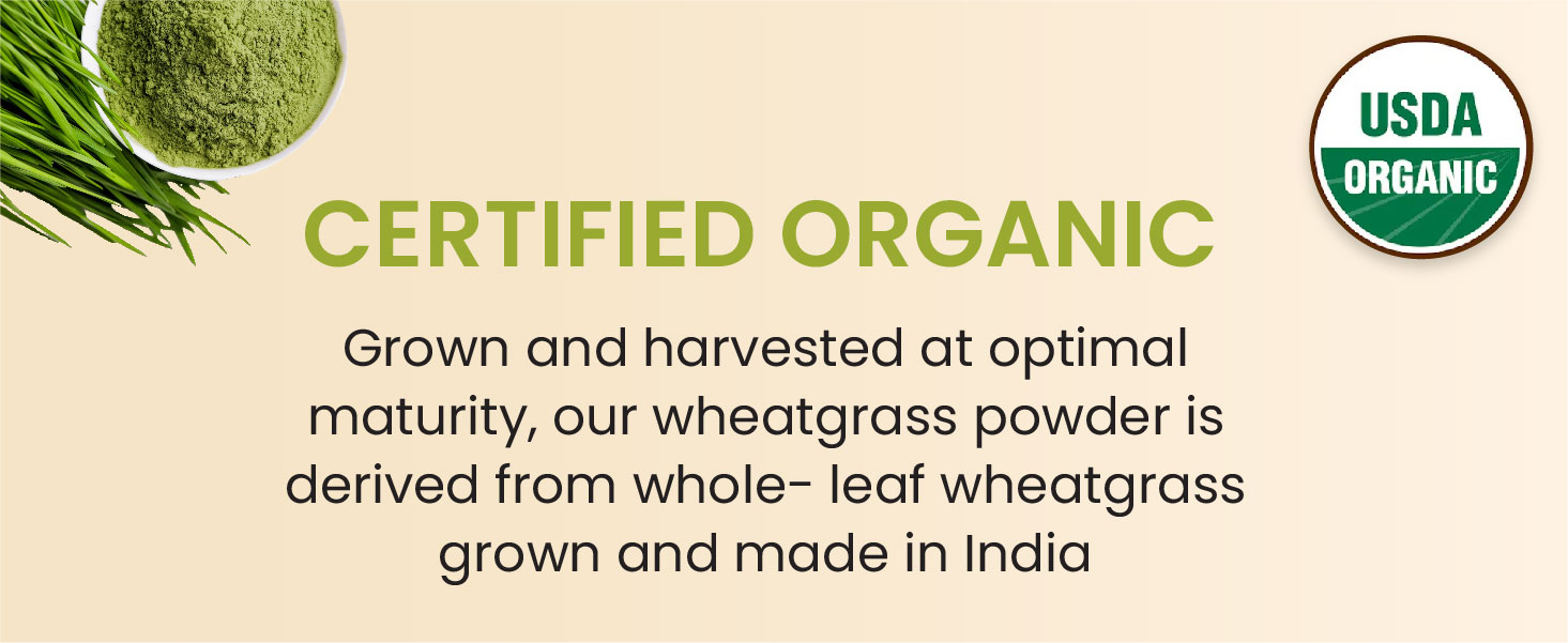 Vlado's Himalayan Organics Natural Organic Wheatgrass Powder | USDA Certified I Wheat Grass Powder | Organic Wheatgrass Juice | Ayurvedic Support For Natural Detox | Immunity Booster | Herbal Supplement - 100g