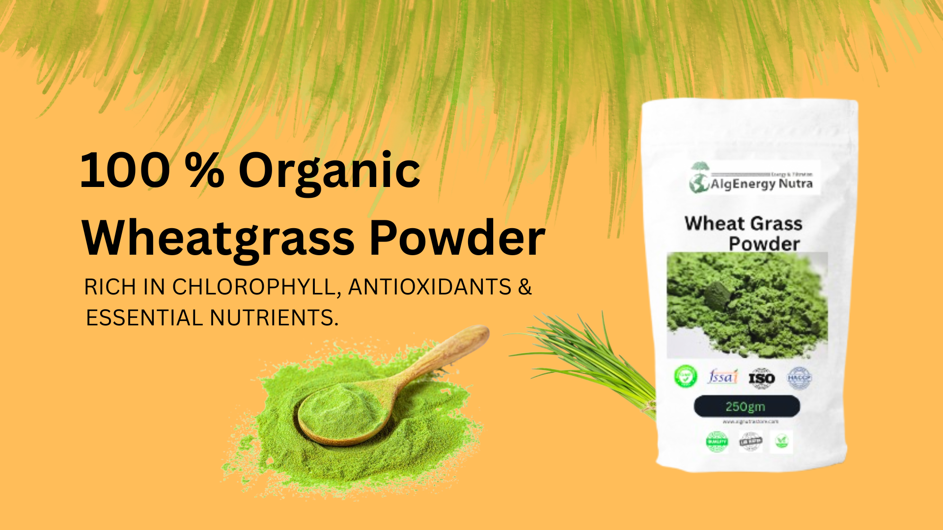 Wheat Grass Powder | Organic Green Superfood for Detox, Immunity & Energy | Rich in Chlorophyll & Antioxidants | Vegan, Gluten-Free | Natural Nutrition Support (1 KG)