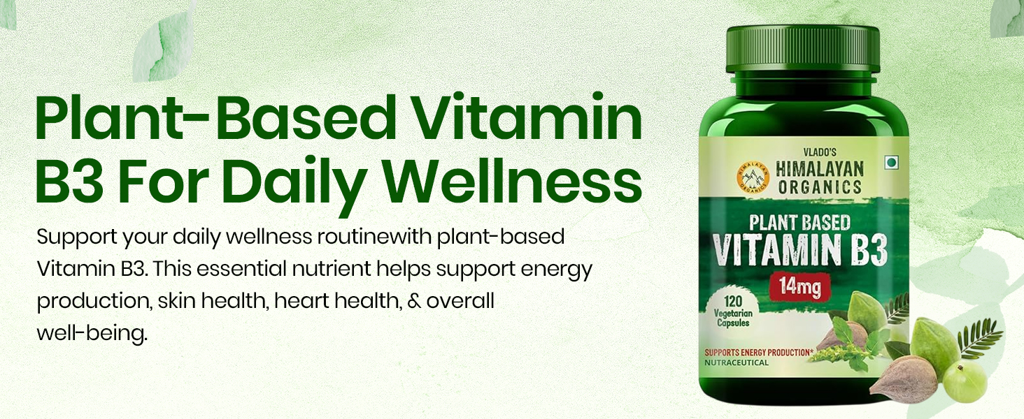 Vlado's Himalayan Organics Plant-Based Vitamin B3 14Mg Supplement - 120 Veg Capsules | Supports Healthy Skin and Heart | Good For Men and Women