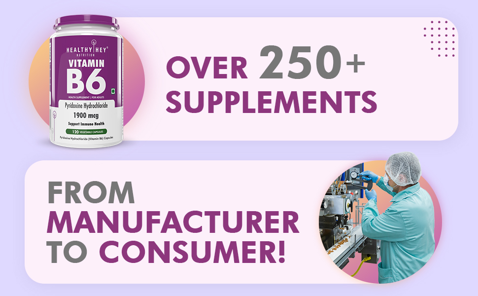 HealthyHey Nutrition Vitamin B6 Pyridoxine -120 Veg. Capsules