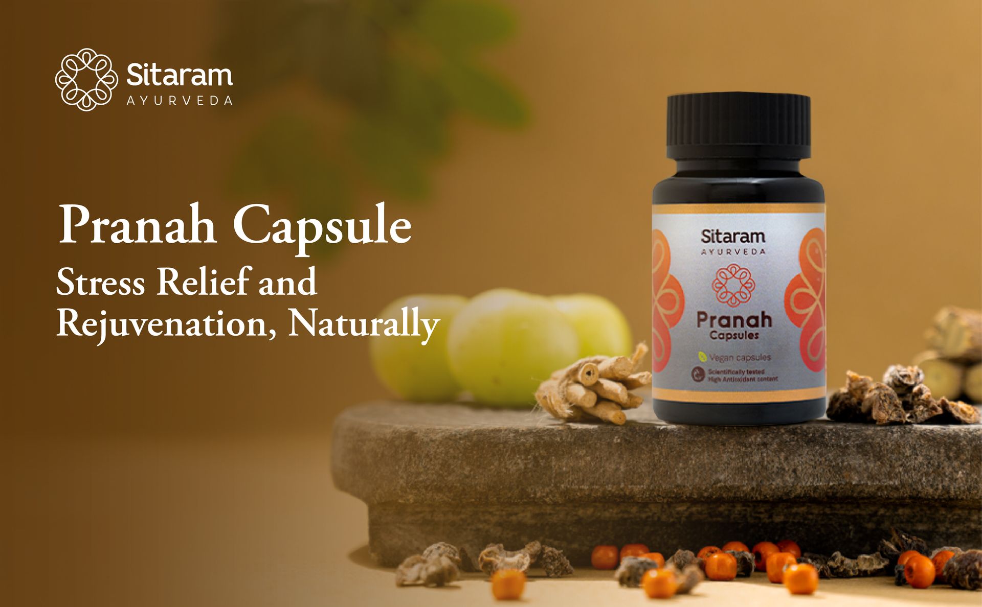 Sitaram Ayurveda Pranah Capsules | Ayurvedic Wellness Blend with Ashwagandha, Amla & Yashtimadhu | Supports Stress Management, Digestion & Immune Health | Vegetarian | 60 Nos